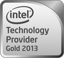 Technology Provider Gold 2013